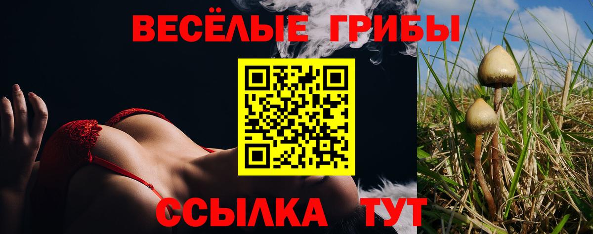 Артёмовский  Псилоцибиновые грибы Psilocybine cubensis  где продают наркотики  Вход с VPN 